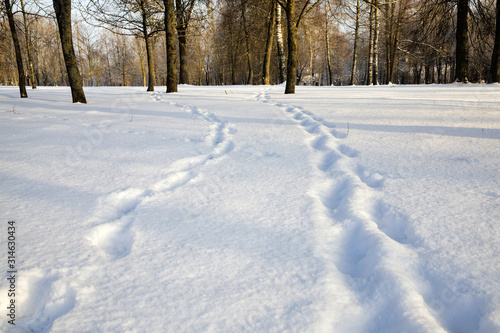 winter walking road © rsooll