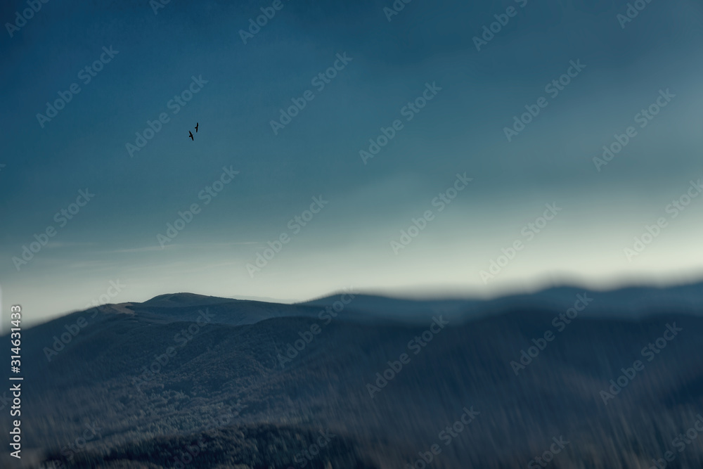 ravens over mountains - polaroid stylized