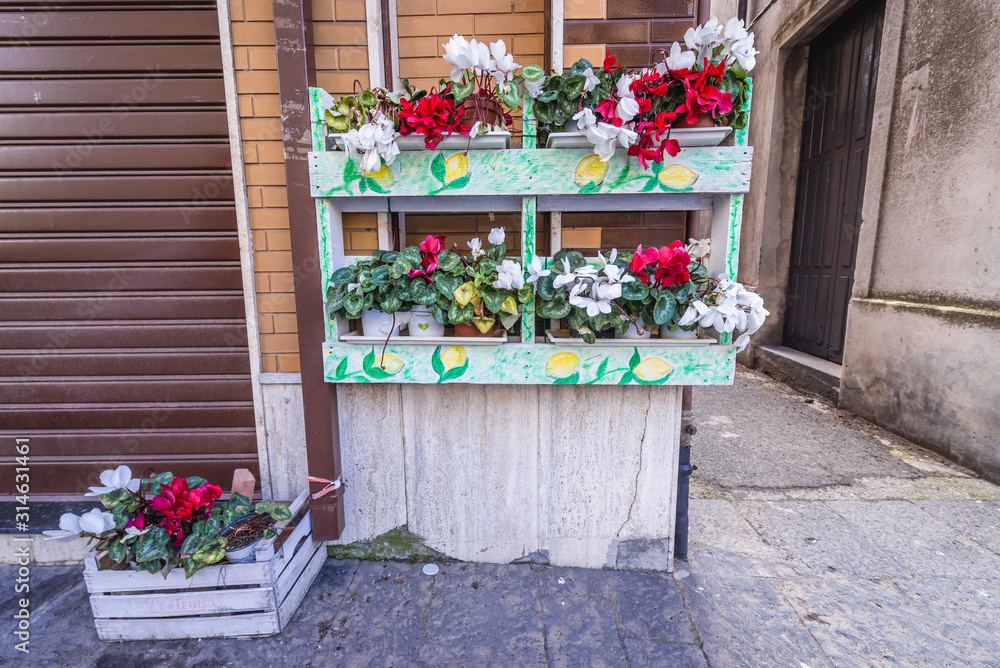 Artifical flowers in the historic part of Randazzo city on Sicily Island in Italy