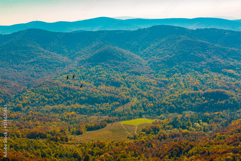 Bieszczady and flying ravens - mountains in Poland Bieszczady and flying ravens - mountains in Poland