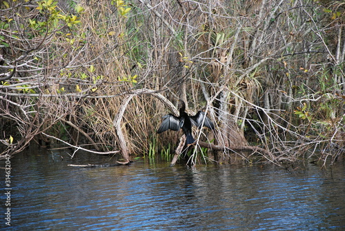 Everglades National Park, Florida photo