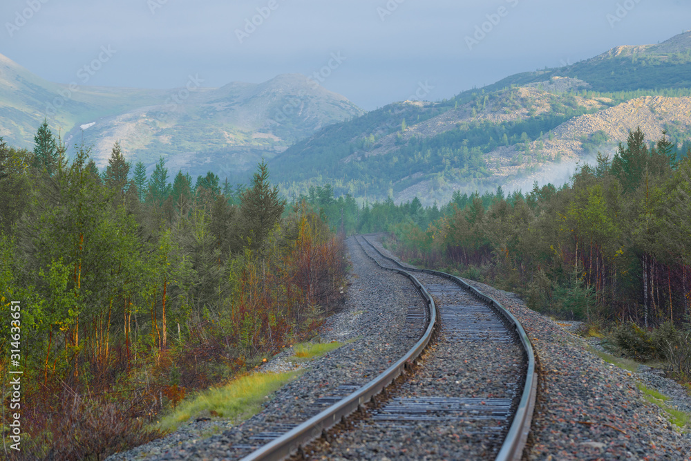 Fototapeta premium Misty summer morning in the Polar Urals. Section of the Vorkuta-Labytnangi railway, Russia