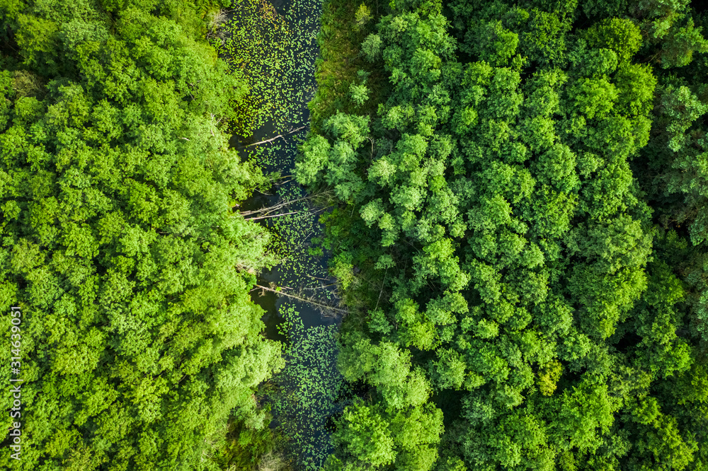 Green forest and small river in summer, aerial view Green forest and small river in summer, aerial view