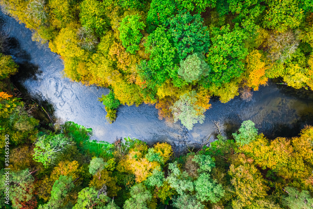 Top down view of forest and river in autumn