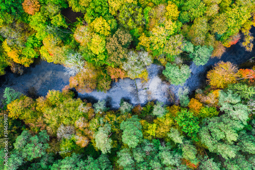 Wonderful forest and river in autumn, view from above