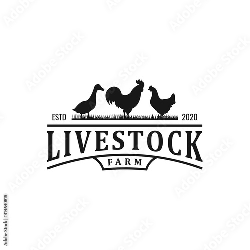 vintage poultry farms logo design, vector concept illustration
