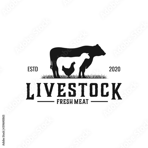 vintage livestock logo design, vector concept illustration photo