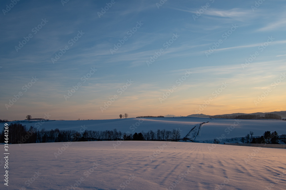 Fototapeta premium 夕暮れ美瑛の丘