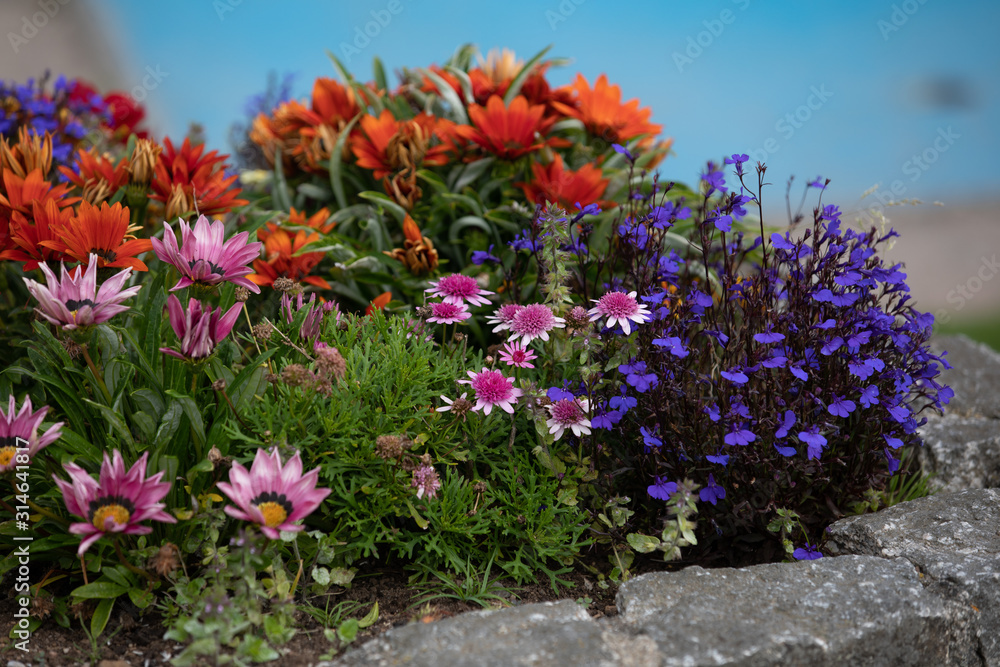 Obraz premium Flower Beds