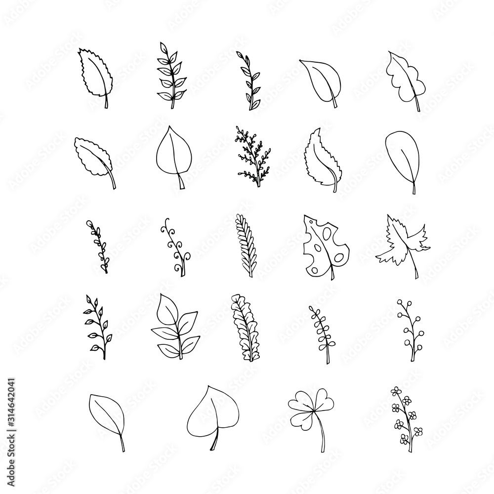 Fototapeta premium Leaves monochrome set. Hand drawn clip art stock vector graphic ink design element for web, for print, for textile