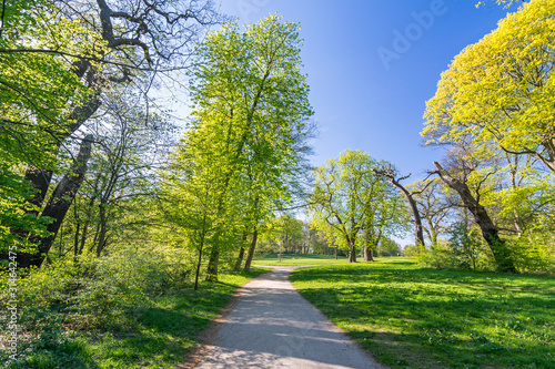 Idyllic foot path in a beautiful park on a sunny spring day
