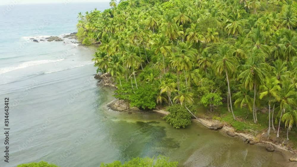 Slow aerial dolly across tropical Panama jungle palm tree forest coastline close up. Slow aerial dolly across tropical Panama jungle palm tree forest coastline close up.