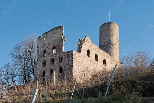 Ruine der Strahlenburg in Schriesheim in Baden-Württemberg, Deutschland  photo