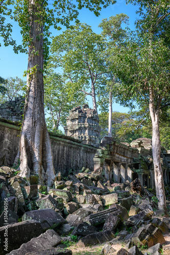 Ta Prohm temple at Angkor Wat complex  Siem Reap  Cambodia