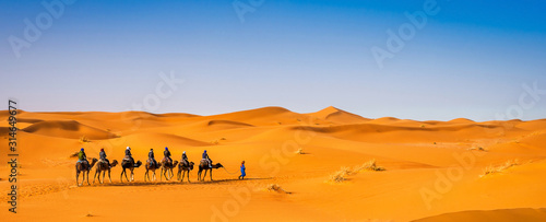 Fotografie, Obraz Camel caravan going through the sand dunes in beautiful Sahara Desert