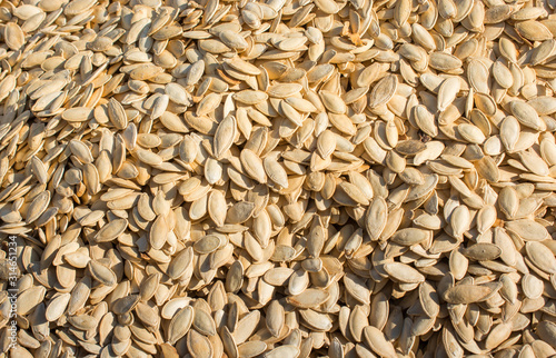  A lot of pumpkin seeds. Background of pumpkin seeds. photo