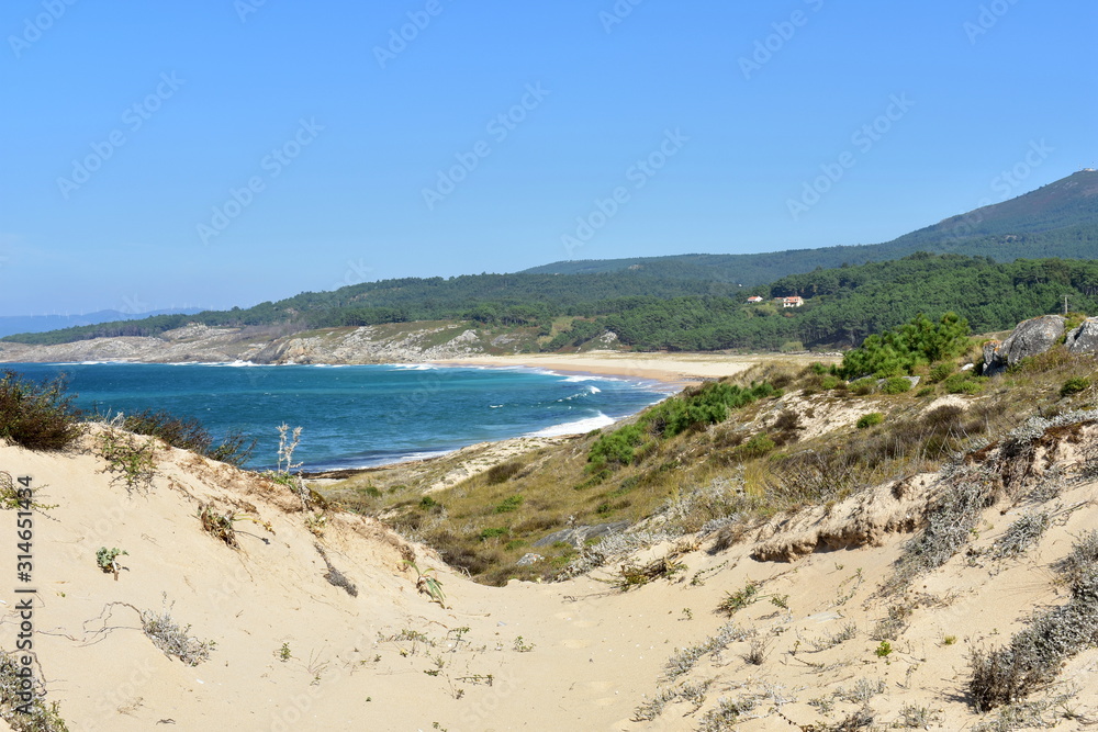 Bay with wild beach and forest, view from sand dunes. Turquoise sea with waves, blue sky. Galicia, Spain.