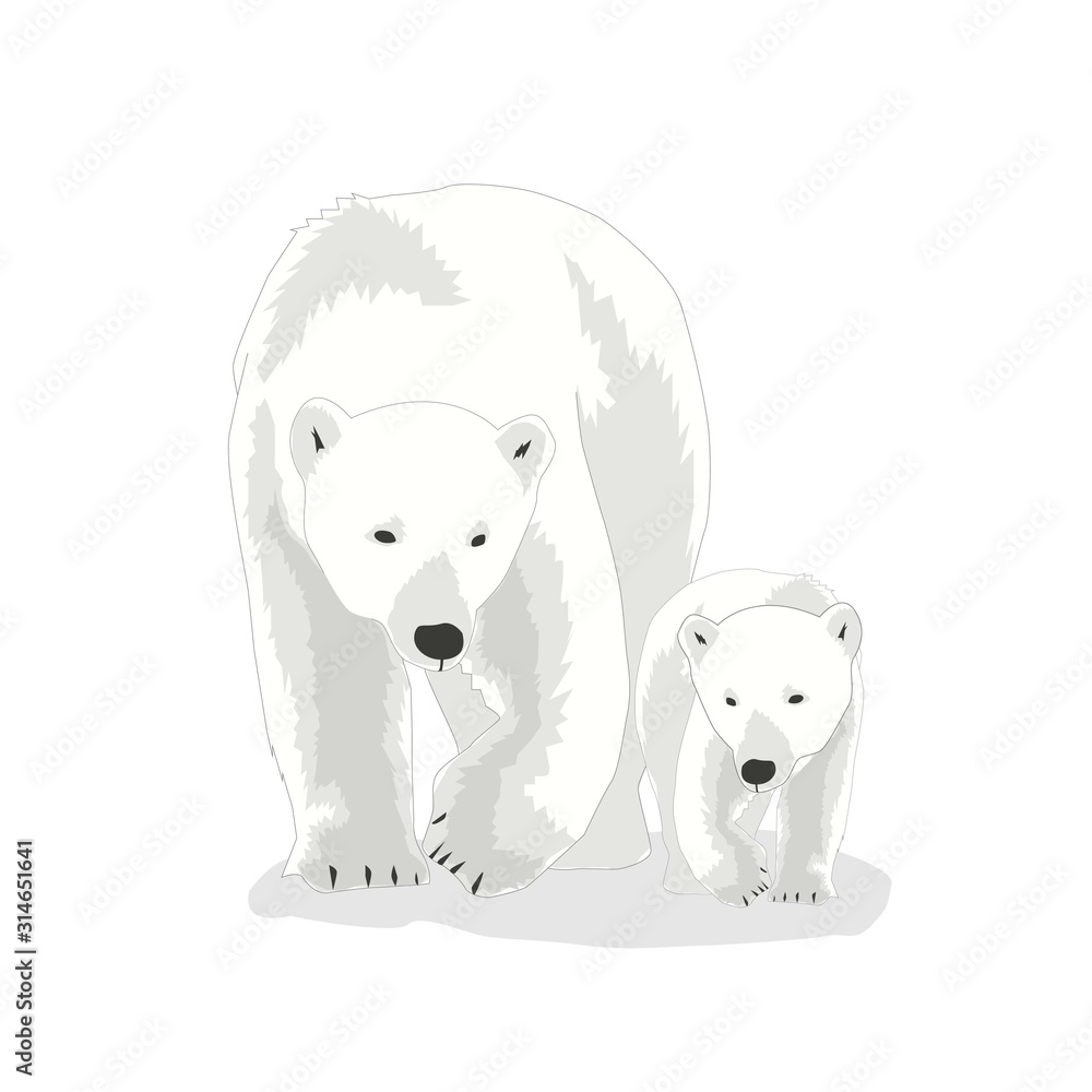 Illustration of Polar Bear vector, international Polar Bear day Illustration of Polar Bear vector, international Polar Bear day