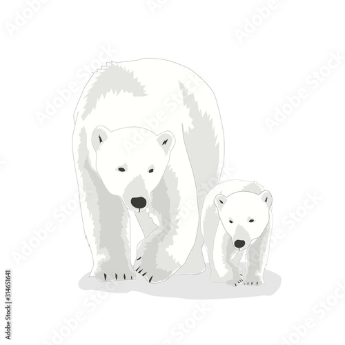 Illustration of Polar Bear vector, international Polar Bear day