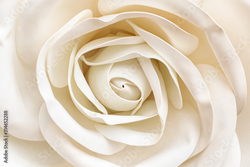A bud of a gentle light cream rose close-up in soft pastel colors. Romantic floral background  delicate and delightful flower head for design cards for weddings  love.