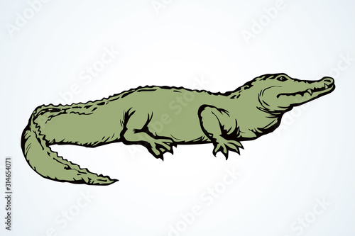 Crocodile. Vector drawing icon sign