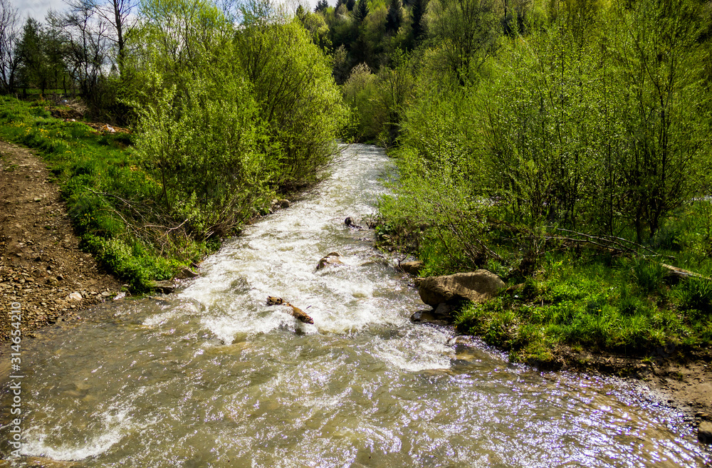 a forest river a forest river