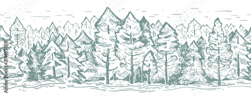 Coniferous vector sketch border pattern. Fir trees in gray color.