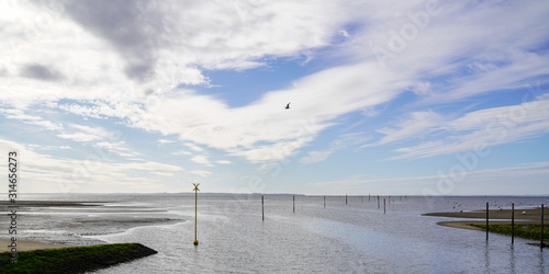 low tide Andernos les bains in Arcachon basin france in web banner template header
