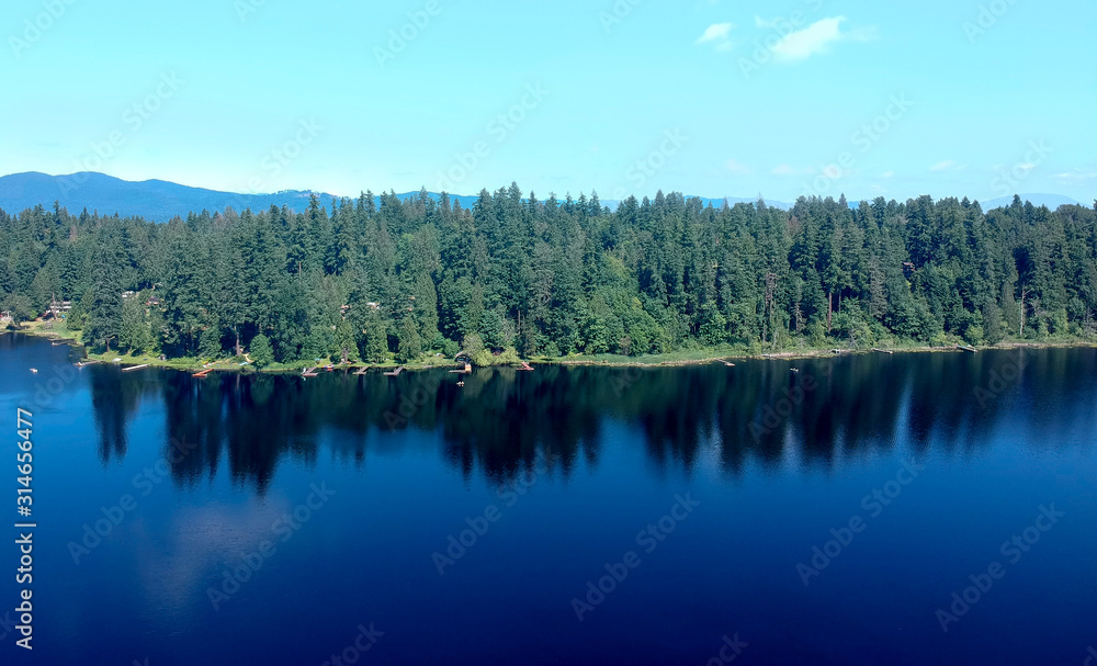 Photogenic Spring Lake on a bright clear day in summertime with trees reflecting in the water a blue sky and white clouds with lily pads dockside in Renton King County Washington State