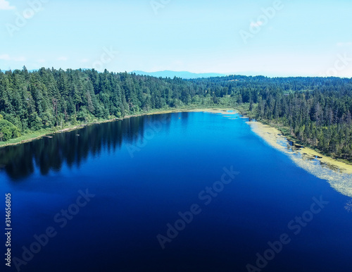 Photogenic Spring Lake on a bright clear day in summertime with trees reflecting in the water a blue sky and white clouds with lily pads dockside in Renton King County Washington State