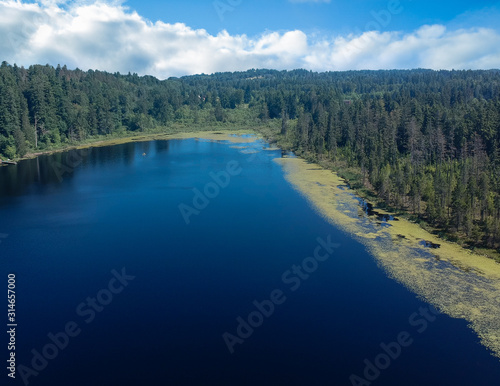 Photogenic Spring Lake on a bright clear day in summertime with trees reflecting in the water a blue sky and white clouds with lily pads dockside in Renton King County Washington State