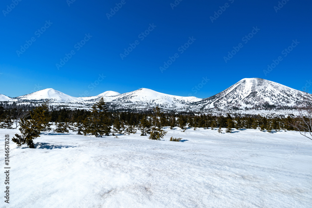 Fototapeta premium 【青森県八甲田山中】春の八甲田連峰雪景色