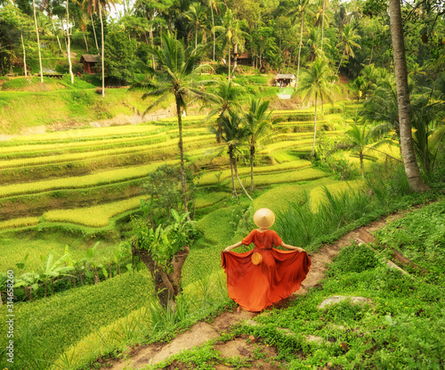 Woman walking on Tegalalang Rice Terrace, Bali photo