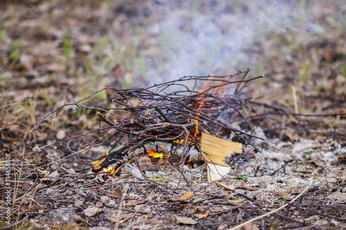 Burning dry twigs. Bonfire at a camp in summer evening outdoors