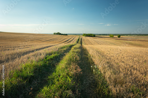 Dirt road through fields on hills  horizon and sky