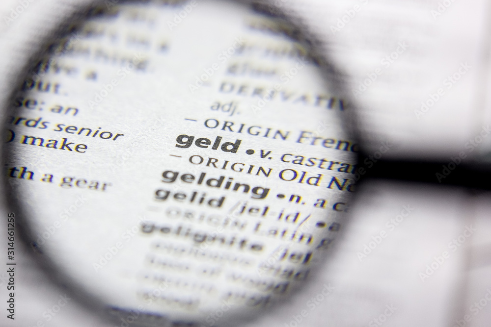 Fototapeta premium Word or phrase Geld in a dictionary.