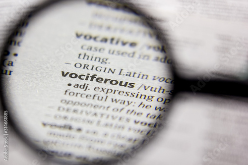 Word or phrase Vociferous in a dictionary. photo