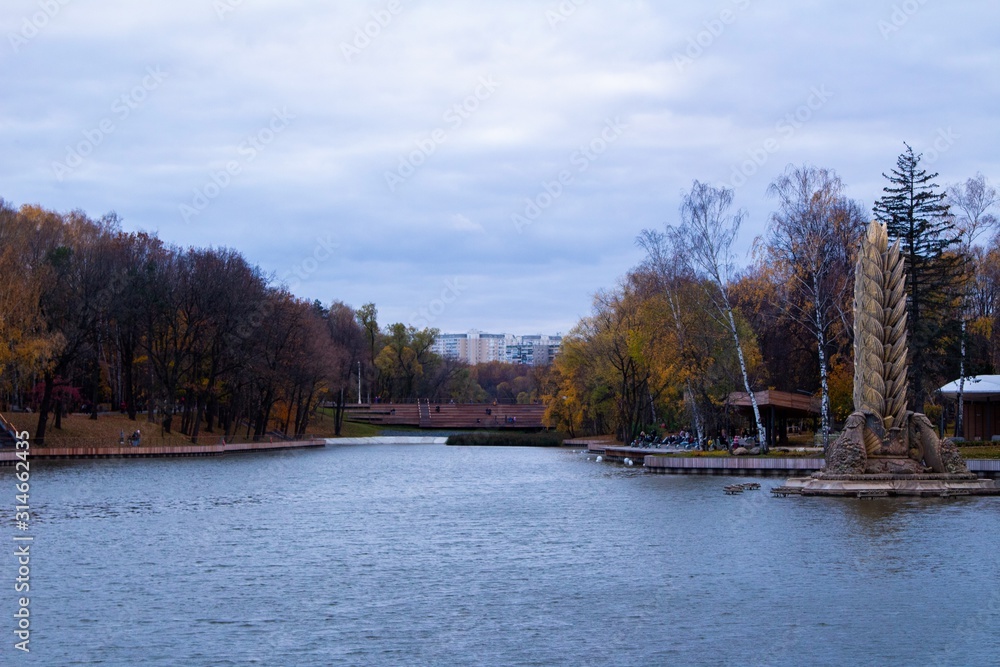 Fototapeta premium autumn, track, tree, leaves, walk