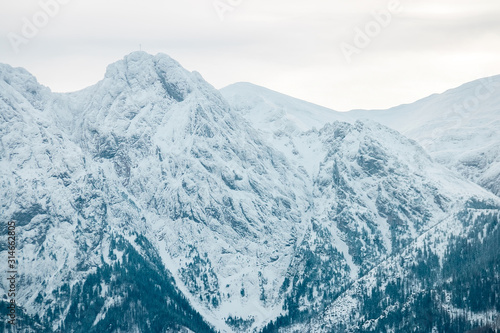 Fototapeta Naklejka Na Ścianę i Meble -  landscape mountains forest and snow