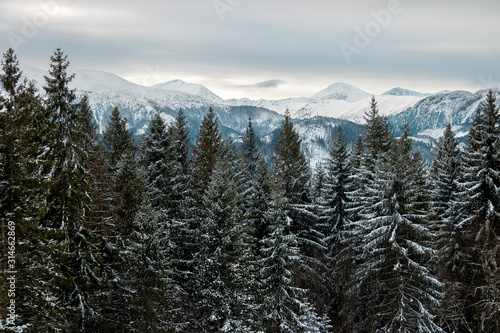 landscape mountains forest and snow