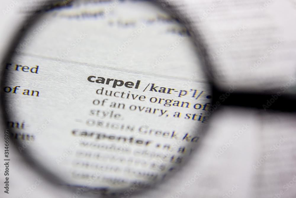 Fototapeta premium Word or phrase Carpel in a dictionary.