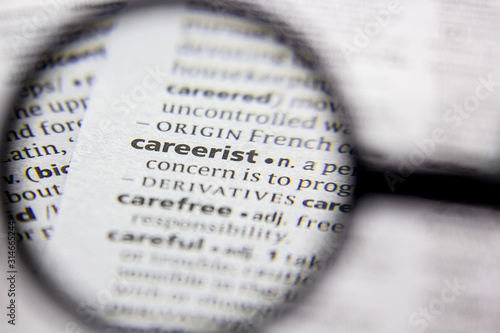 Word or phrase Careerist in a dictionary.