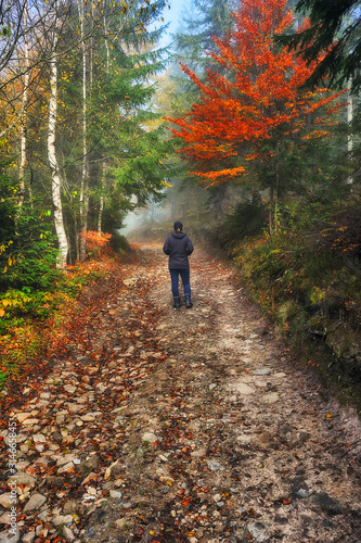 tourist in the mountains. woman on a mountain trip. girl alone with nature