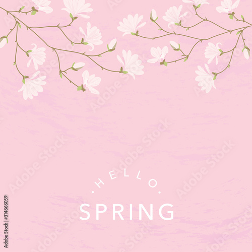 Magnolia flowers background illustration on pink