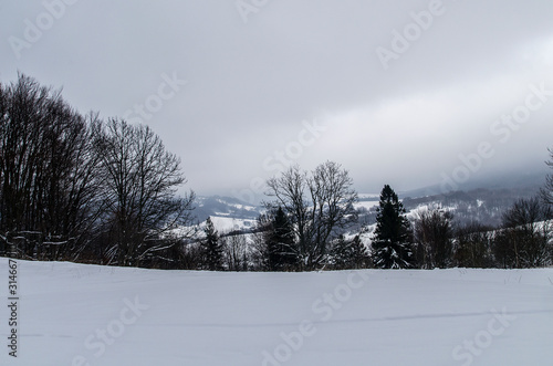 Fototapeta Naklejka Na Ścianę i Meble -  połoniny we mgle bieszczady