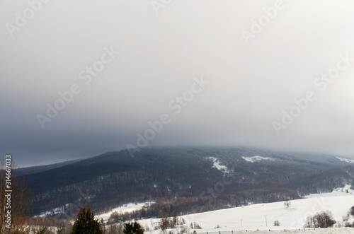Fototapeta Naklejka Na Ścianę i Meble -  połoniny we mgle bieszczady