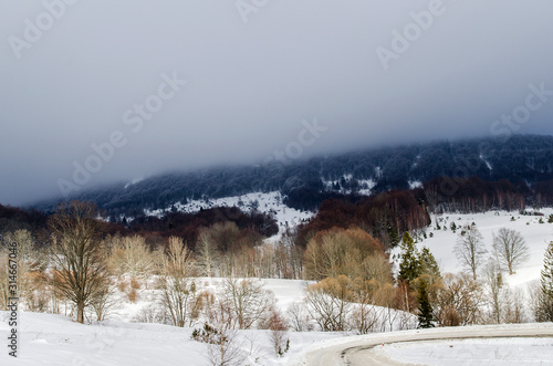 Fototapeta Naklejka Na Ścianę i Meble -  połoniny we mgle bieszczady
