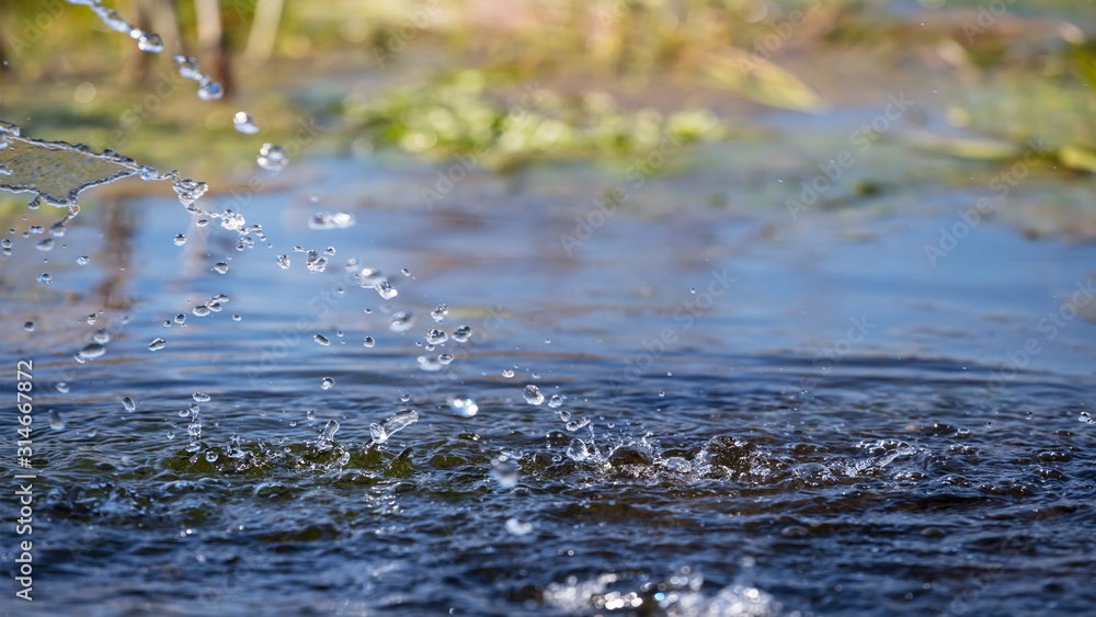 Fototapeta premium stream of water fall into lake, source of river scene