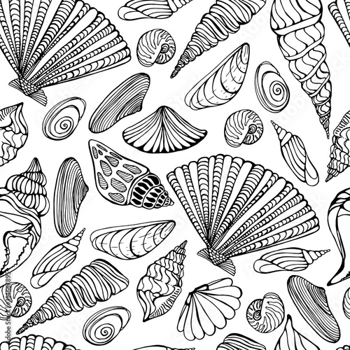 Summer pattern with shells, raps. Hand-made graphics of marine themes, treasures of the ocean, sea. beautiful shells of different shapes. Background for antistress coloring books for children.
