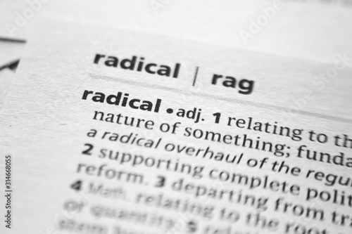 Word or phrase Radical in a dictionary.